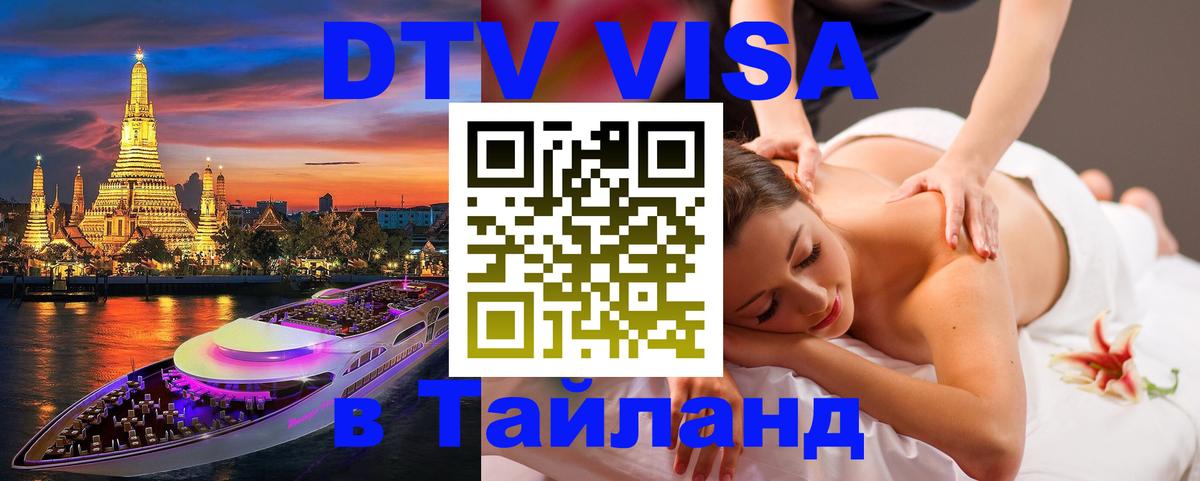 Оформление DTV визы под ключ: стоимость и тарифы, только загранпаспорт - Саранск  18.11.2025 